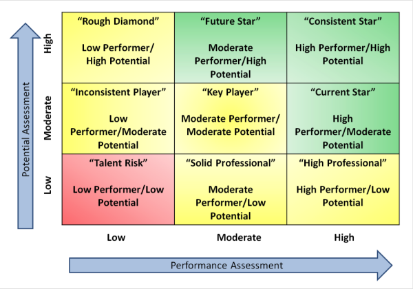 limited-potential-does-not-limit-options-use-the-9-box-to-develop