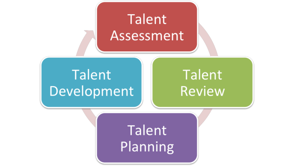 Development at the Top - Use the 9 Box to Develop Talent 